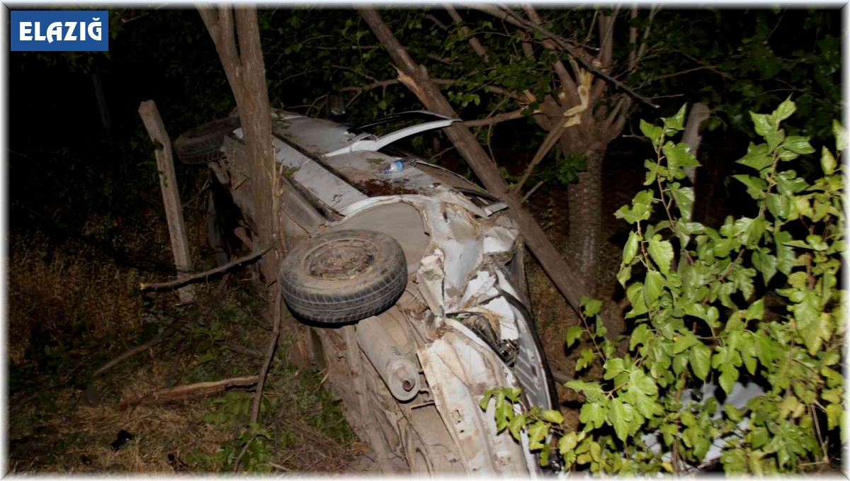 Elazığ'da otomobil önce köpeğe çarptı ardından şarampole yuvarlandı: 3 yaralı