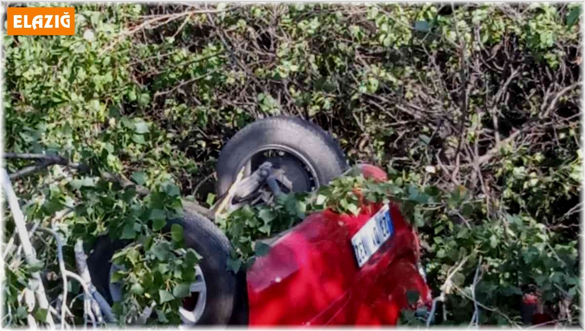 Elazığ'da otomobil şarampole uçtu: 2 yaralı