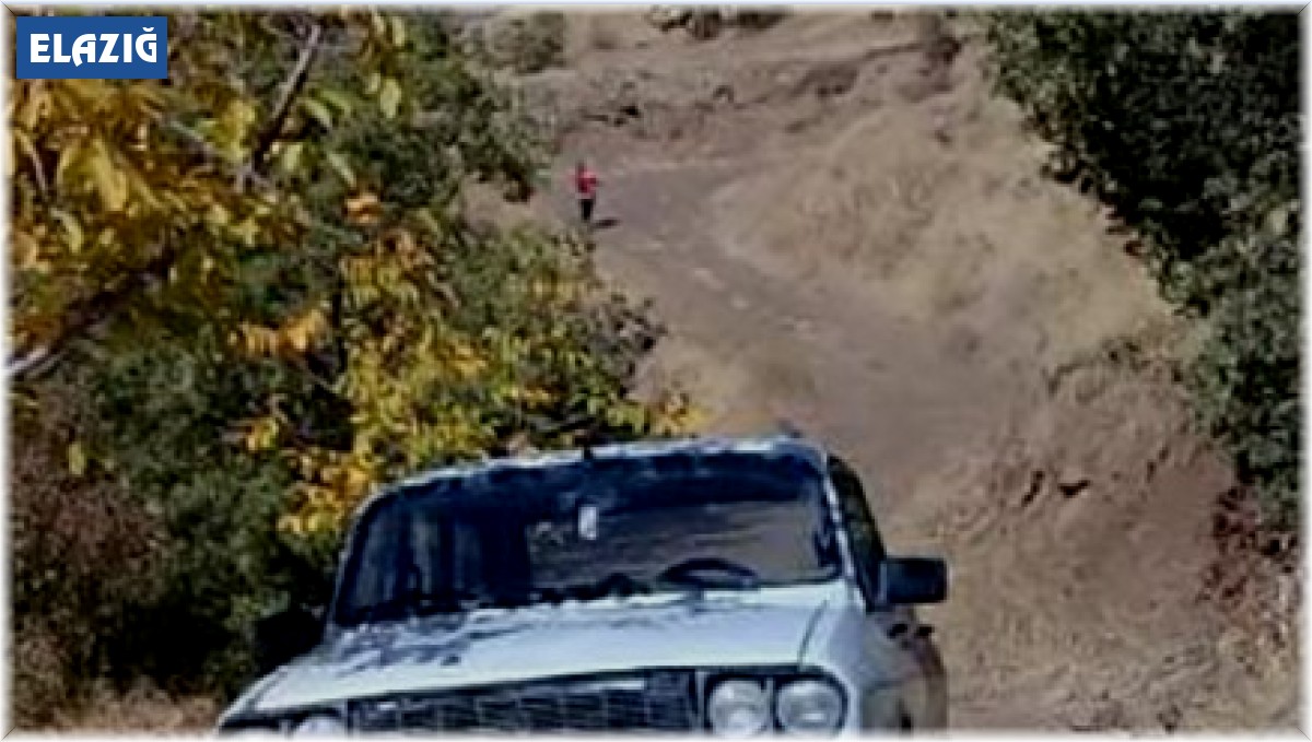 Elazığ'da park halindeki otomobil çalındı