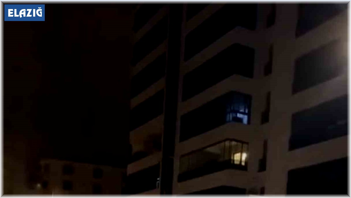 Elazığ'da park halindeki otomobil yandı