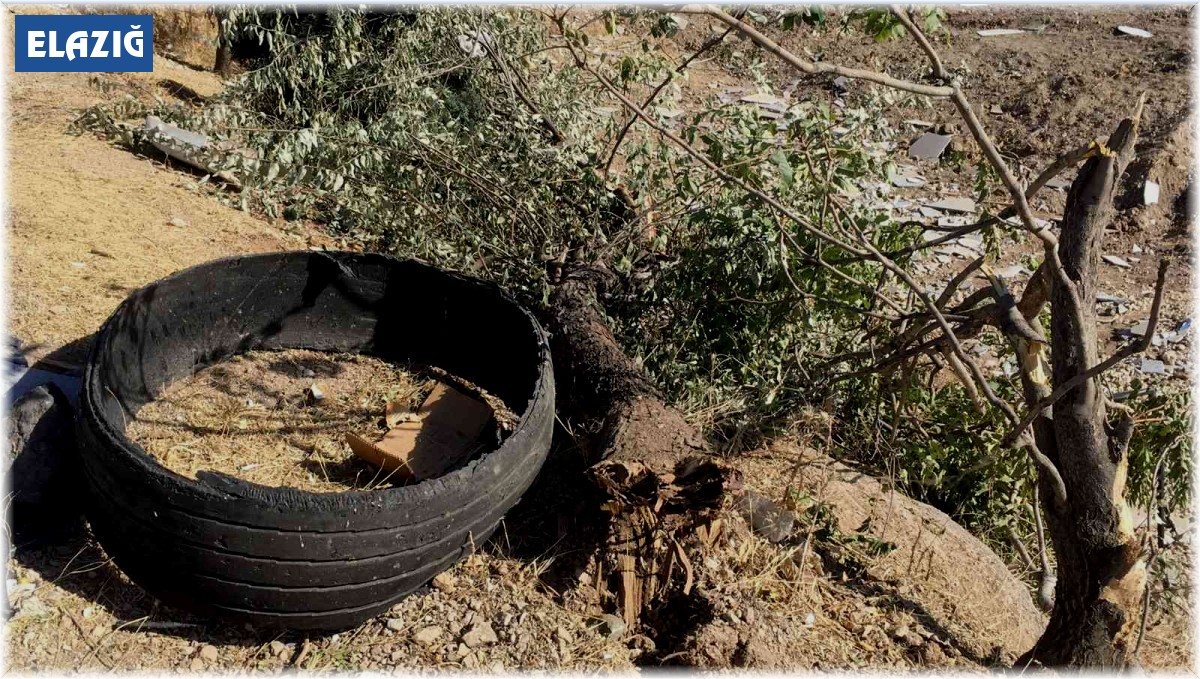 Elazığ'da pikap şarampole yuvarlandı: 5 yaralı