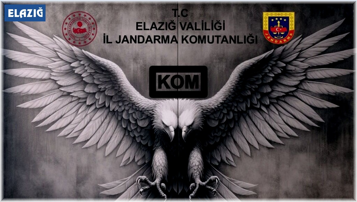 Elazığ'da ruhsatsız silah ele geçirildi: 1 tutuklama