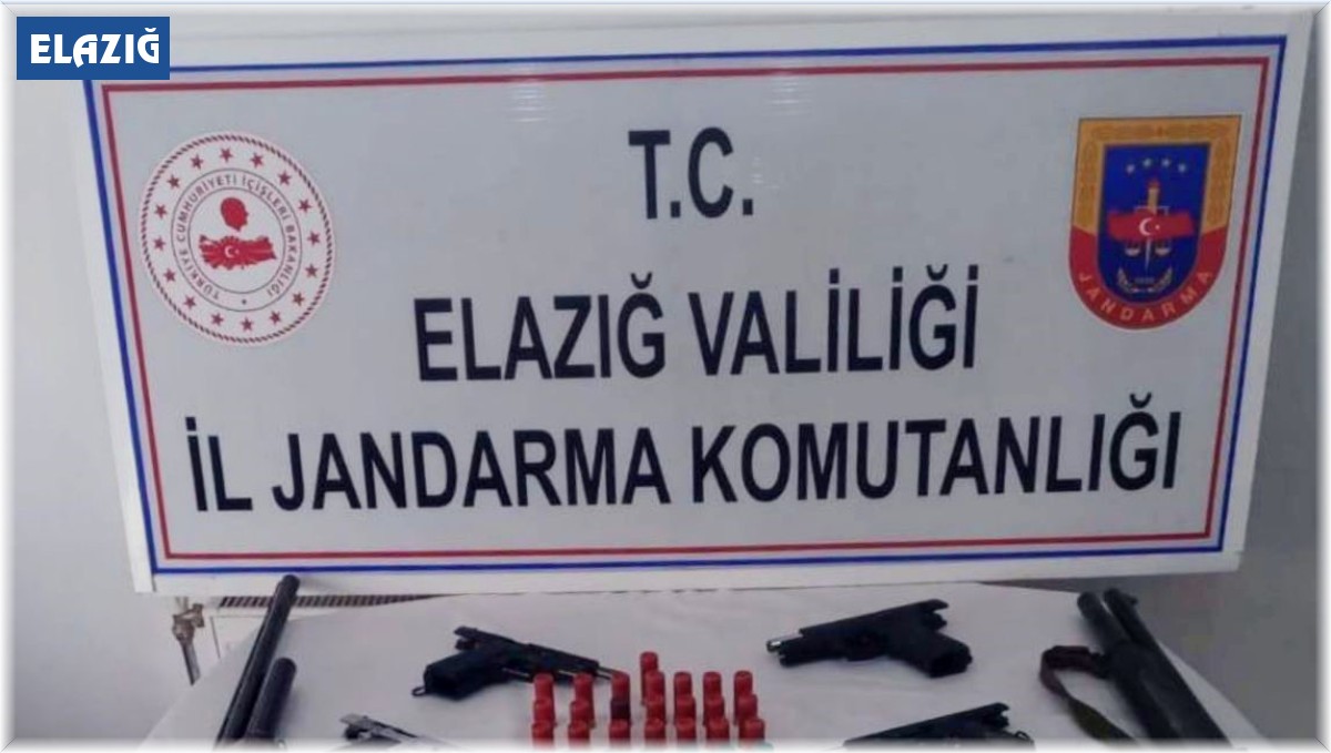 Elazığ'da ruhsatsız silah operasyonu: 2 gözaltı