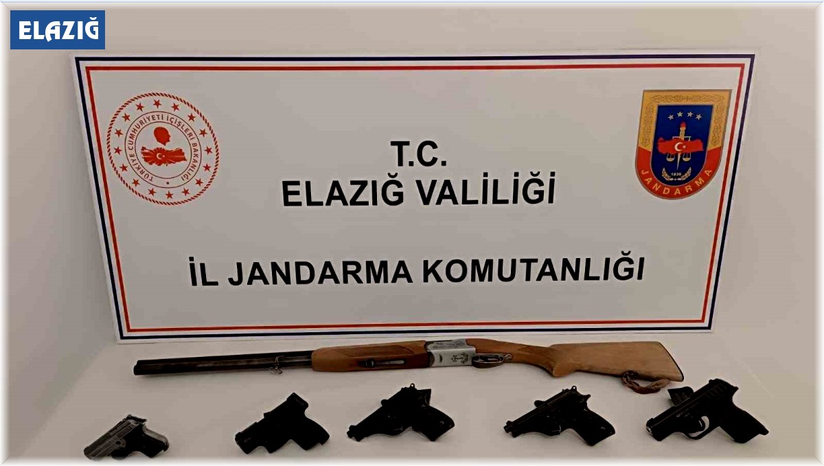 Elazığ'da ruhsatsız silah operasyonu