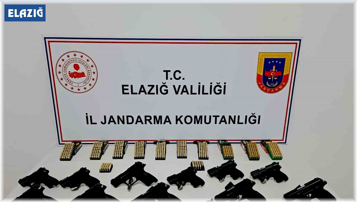 Elazığ'da ruhsatsız silah operasyonunda 1 şüpheli yakalandı