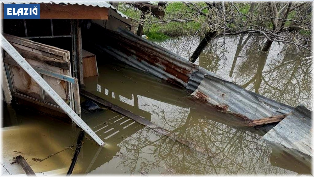 Elazığ'da sağanak sonrası evler ve tarım arazileri sular altında kaldı