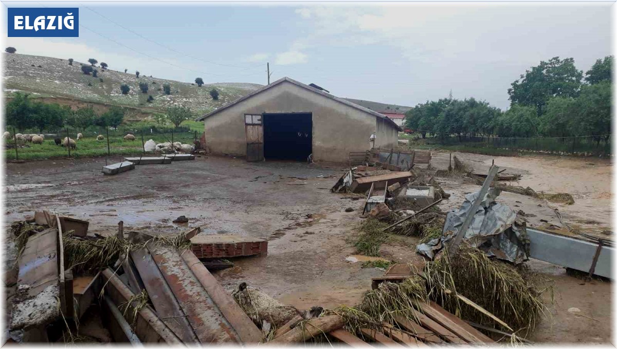 Elazığ'da sağanak yağış hayatı felç etti, 105 hayvan telef oldu
