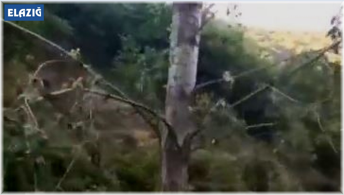 Elazığ'da sağanak yağış köy yollarını tahrip etti