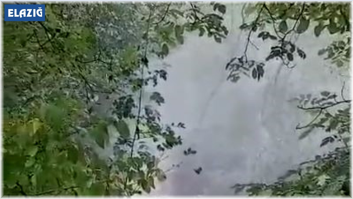 Elazığ'da sağanak yağış sonrası dereler taştı, sel meydana geldi