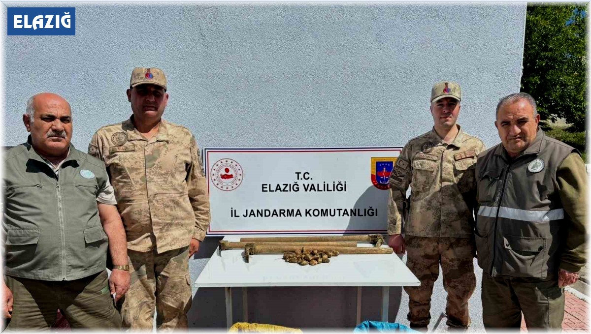 Elazığ'da salep bitkisi toplayan 4 kişiye idari para cezası uygulandı