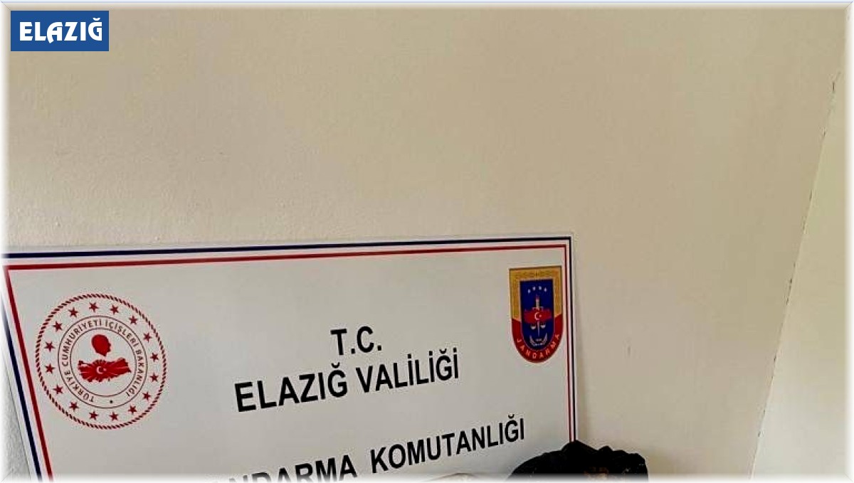 Elazığ'da salep sağanı toplayan 4 kişi yakalandı