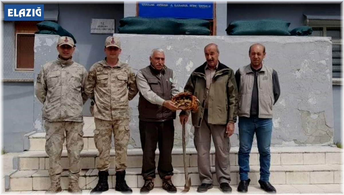 Elazığ'da salep soğanı toplayan 2 kişiye 220 bin lira para cezası