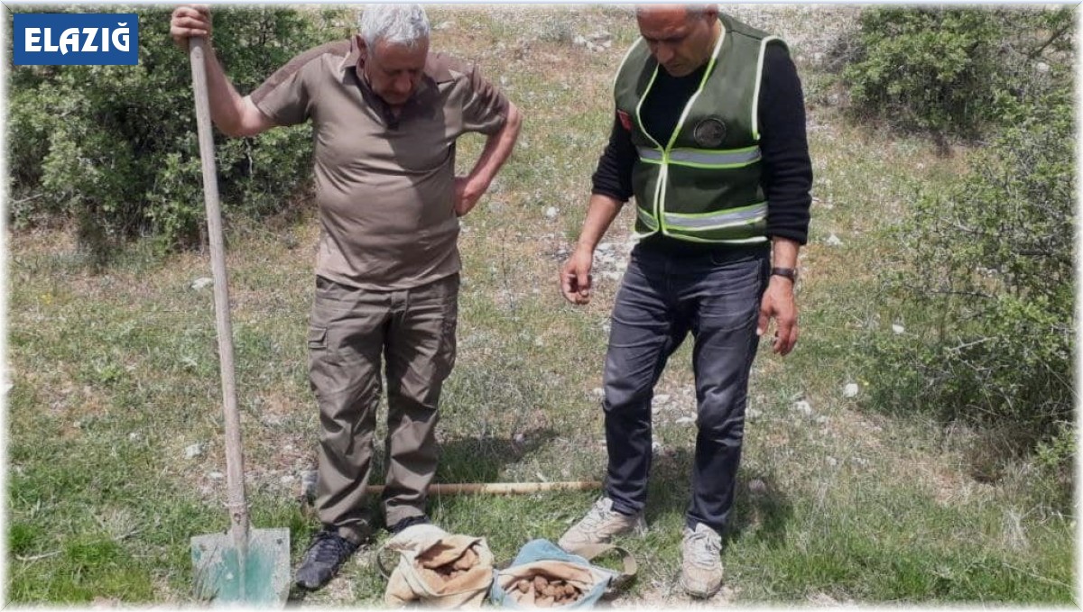 Elazığ'da salep soğanı toplayan 8 kişiye 3 milyon 100 bin lira ceza