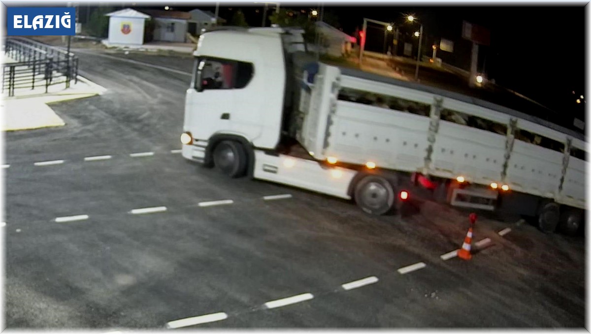 Elazığ'da ŞAP'a geçit yok