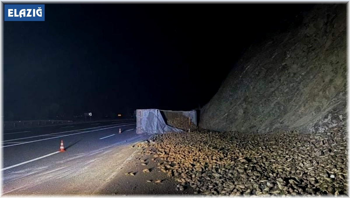 Elazığ'da şeker pancarı yüklü tır devrildi: 1 yaralı