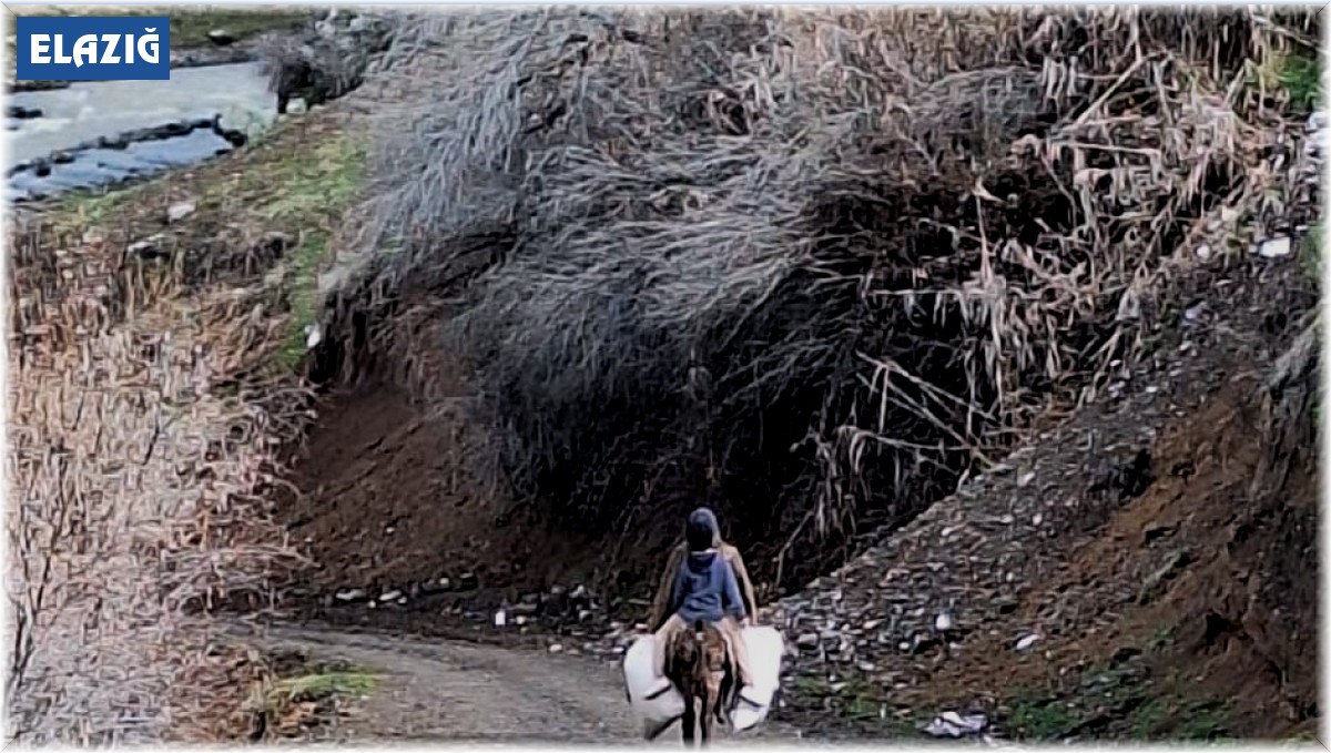Elazığ'da selde çöken yolu kullanamayan köylüler hayvanlarına eşekler ile yem taşıyor