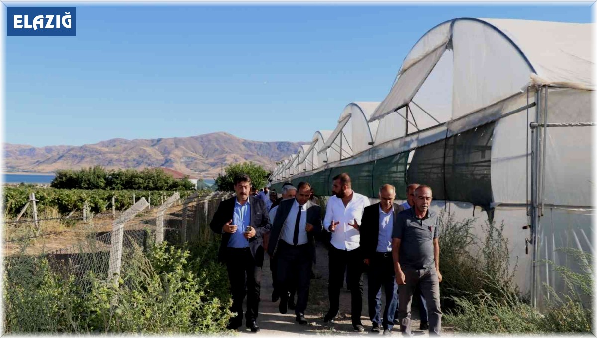 Elazığ'da sera üreticileri bilgilendirildi