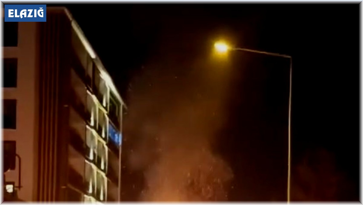 Elazığ'da seyir halindeki hafif ticari araç alev topuna döndü