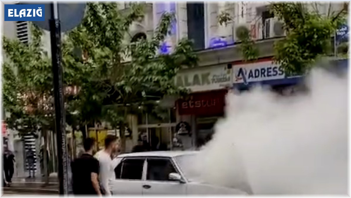 Elazığ'da seyir halindeki otomobil alev aldı