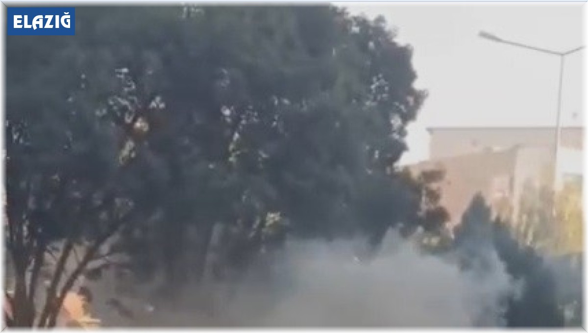 Elazığ'da seyir halindeki otomobil alev aldı