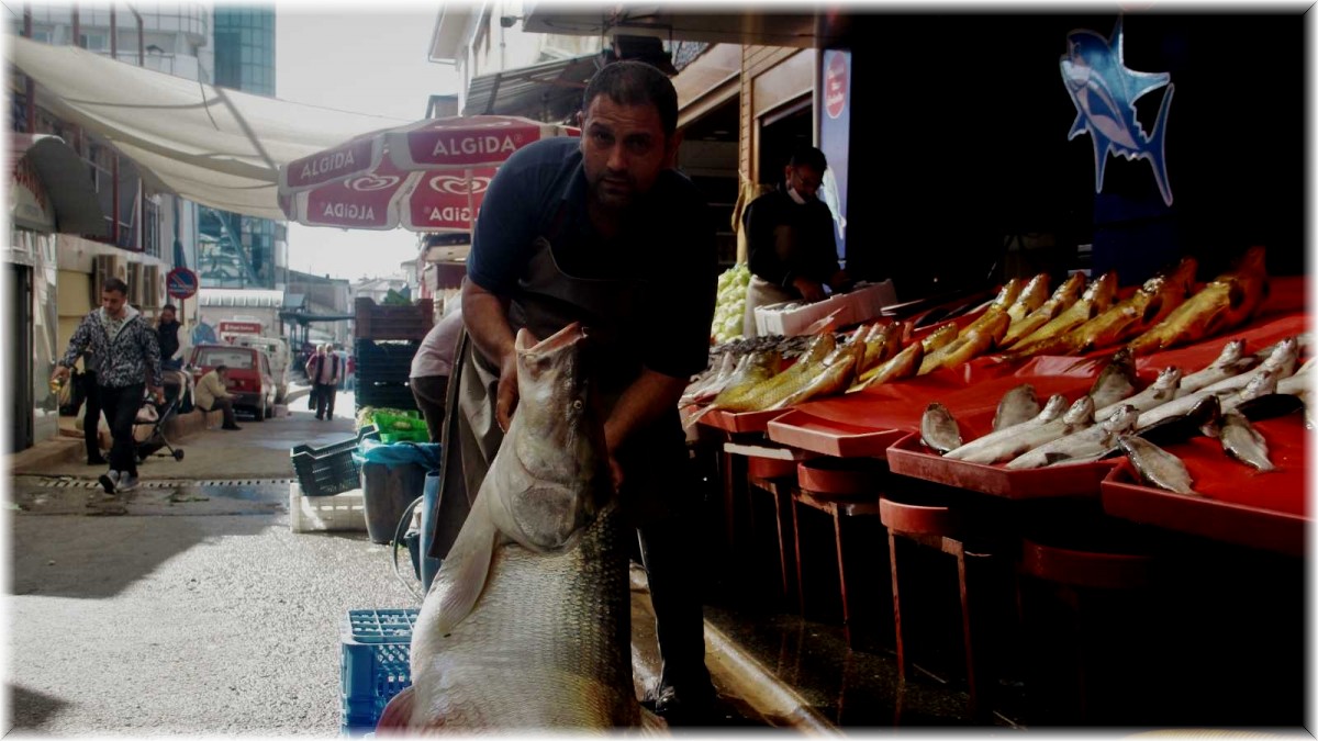 Elazığ'da sezonun ilk dev balığı yakalandı