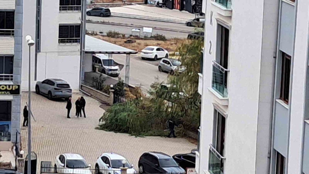 Elazığ'da şiddetli fırtına ağaçları devirdi