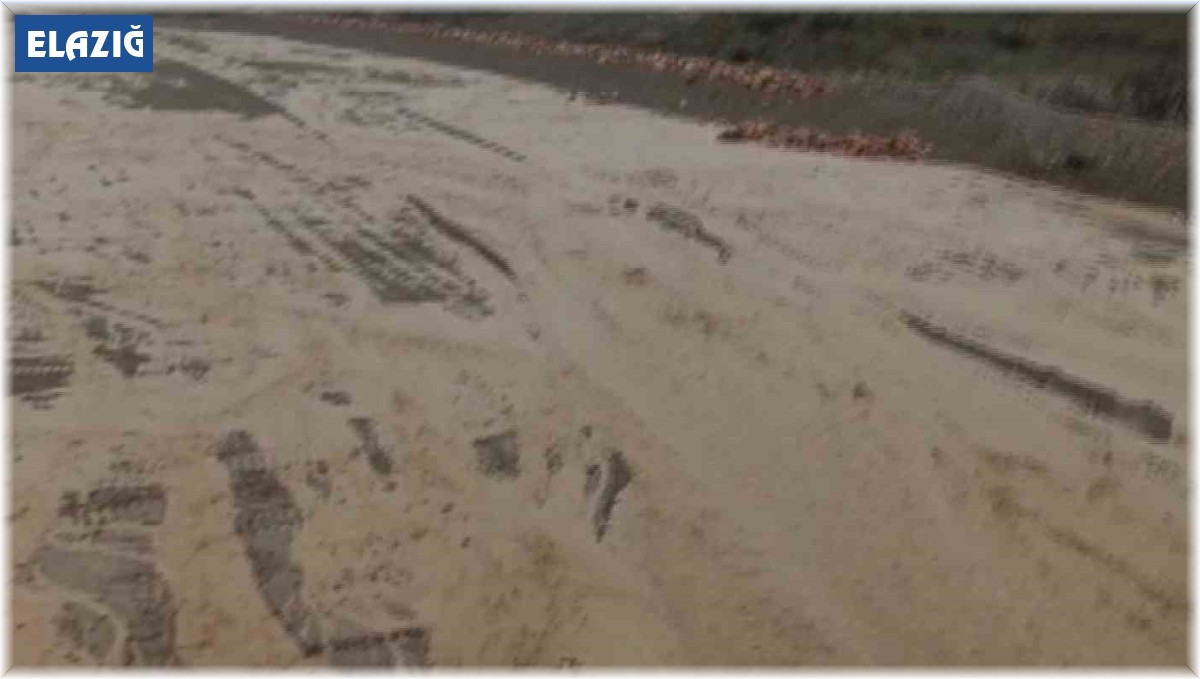 Elazığ'da şiddetli yağışlar sonrası dereler coştu