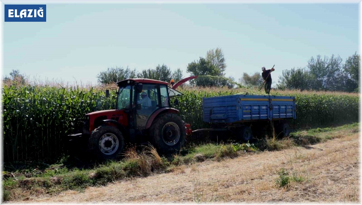 Elazığ'da silajlık mısır hasat etkinliği düzenlendi