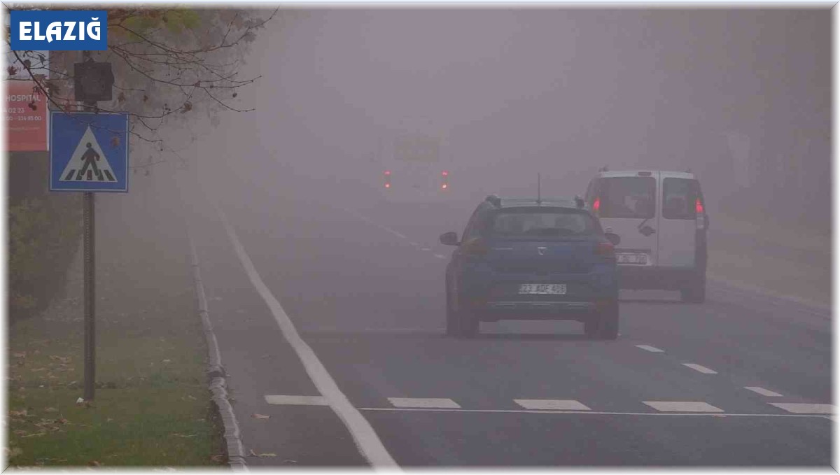 Elazığ'da sis etkili oldu