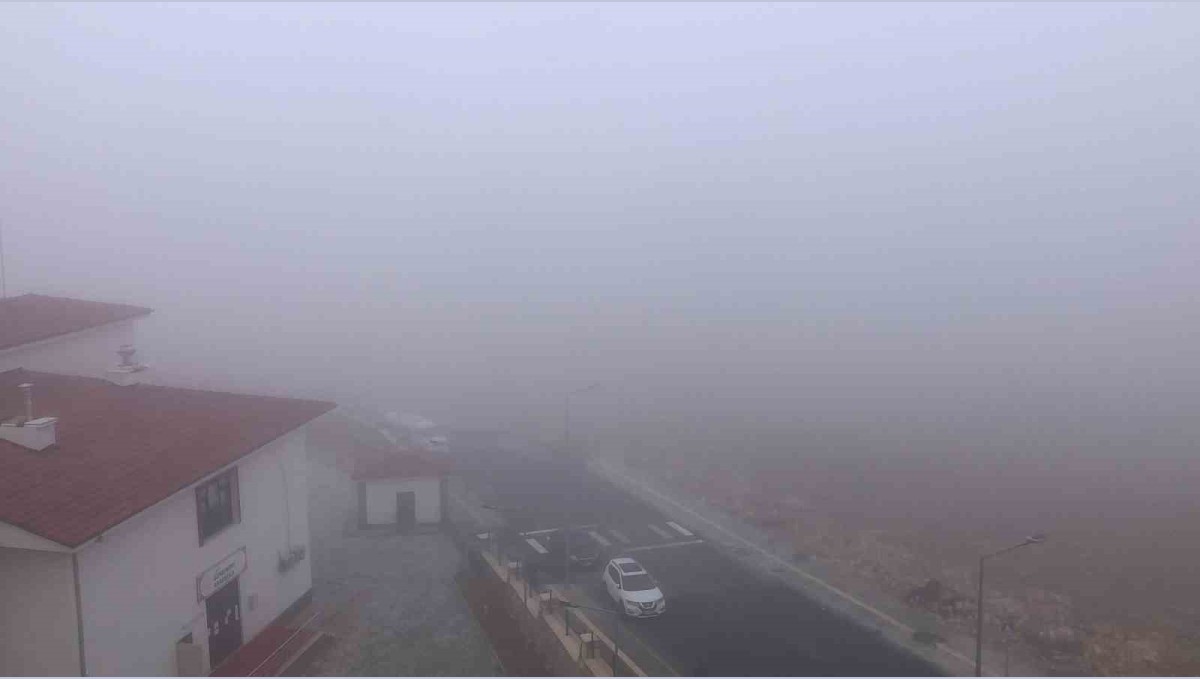 Elazığ'da sis etkili oldu
