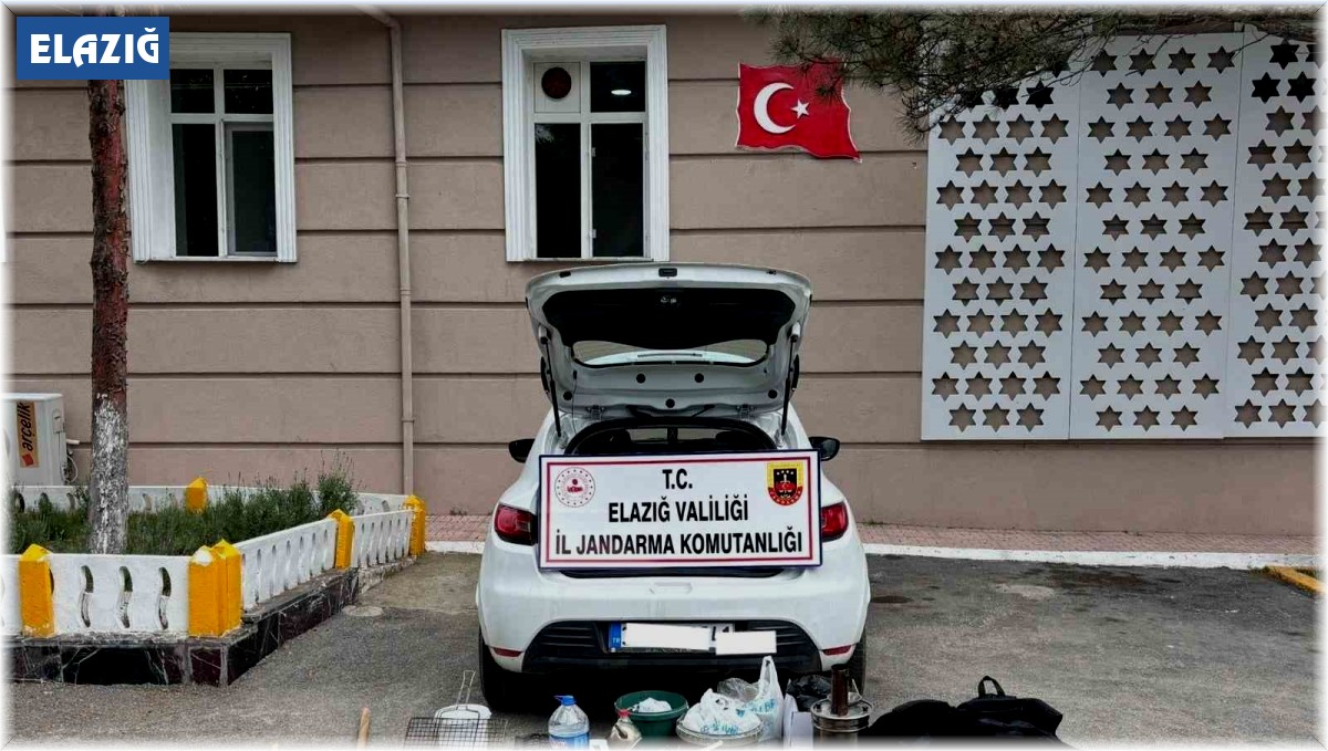 Elazığ'da sit alanda kazı yapan 5 kişi yakalandı