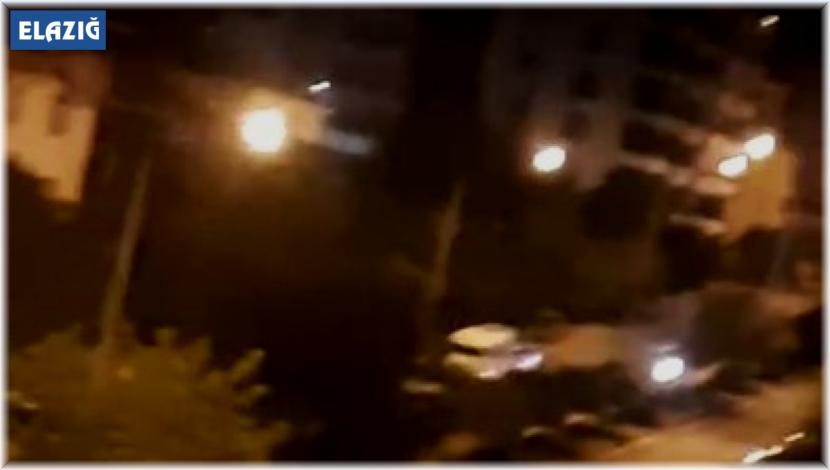 Elazığ'da sokak köpekleri, kediyi parçaladı