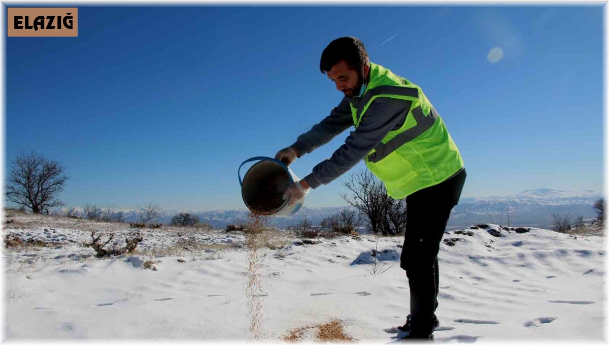 Elazığ'da sokak ve yaban hayvanları için 90 farklı noktaya yem bırakıldı