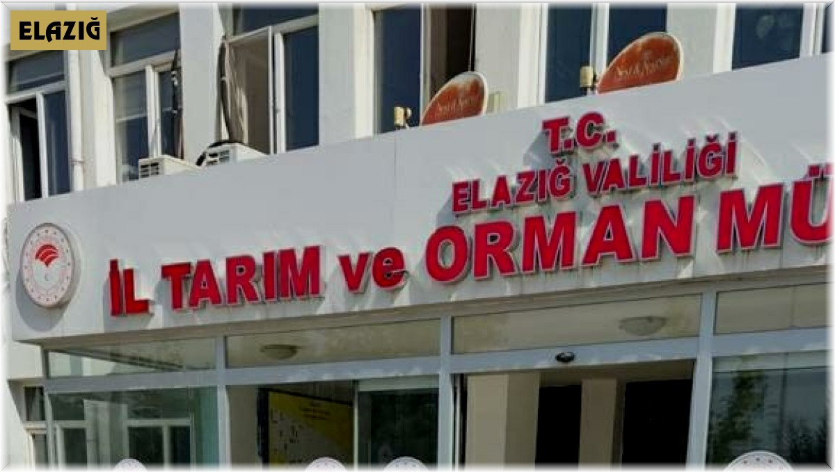 Elazığ'da son kullanma tarihi geçmiş gıdalar imha edildi