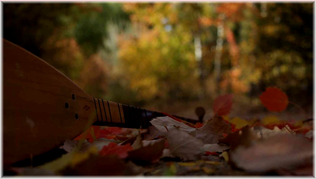 Elazığ'da sonbaharda rengarenk olan ağaçlar havadan görüntülendi