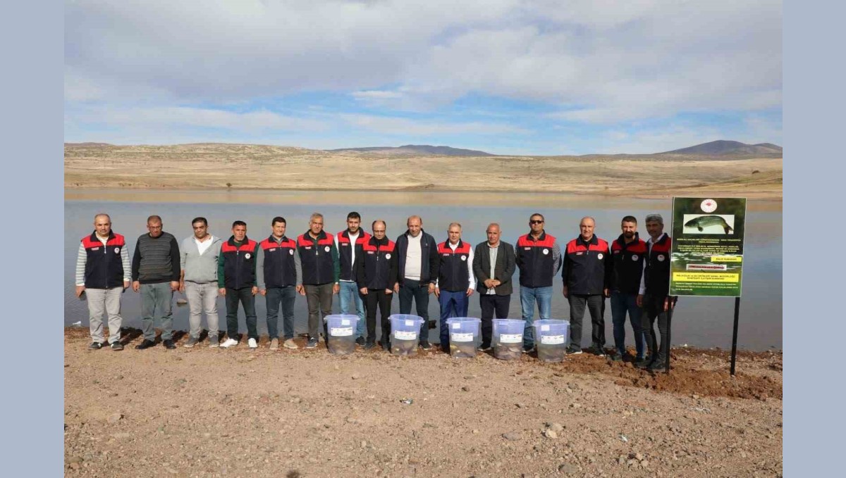 Elazığ'da Su Kaynakları Balıklandırma Projesi sürüyor
