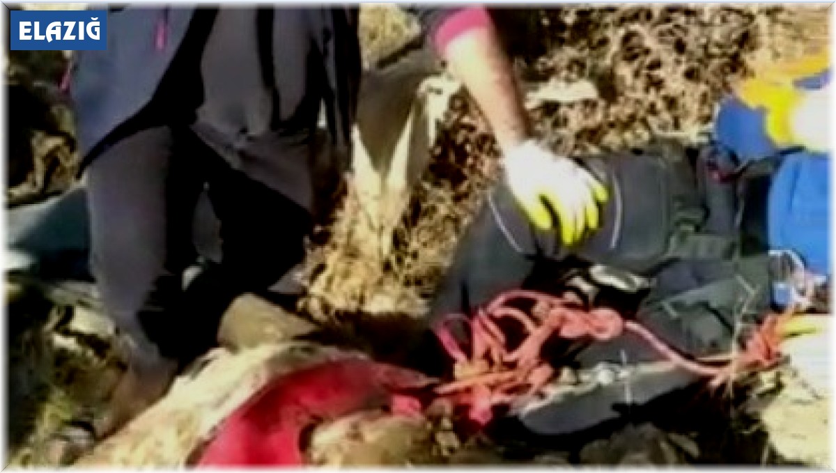 Elazığ'da su kuyusuna düşen keçi kurtarıldı