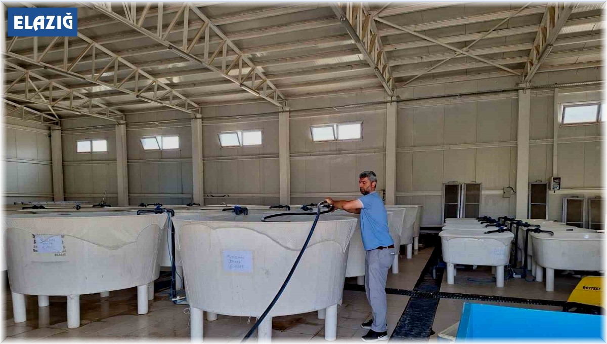 Elazığ'da Su Ürünleri Ar-Ge Merkezi'nde üretim çalışmaları sürüyor