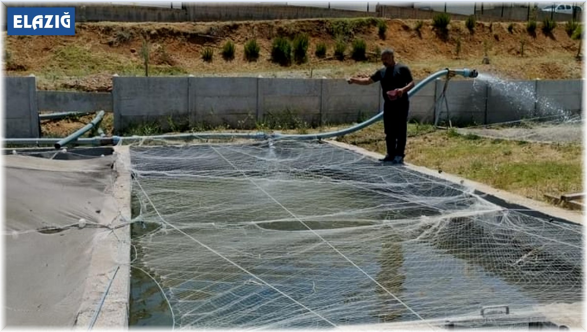 Elazığ'da Su Ürünleri AR-GE Merkezinde üretim çalışmaları sürüyor