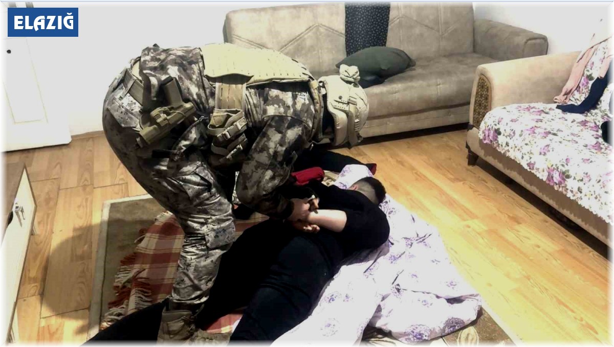 Elazığ'da suç örgütüne operasyon: 35 gözaltı