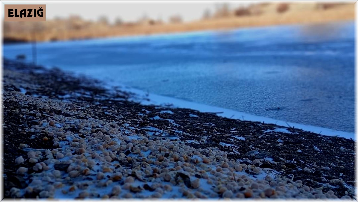 Elazığ'da Sülüklü Göl buz tuttu