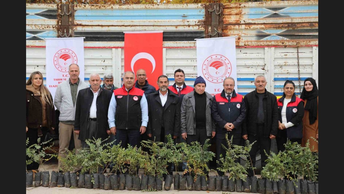 Elazığ'da sumak üretimi artıyor