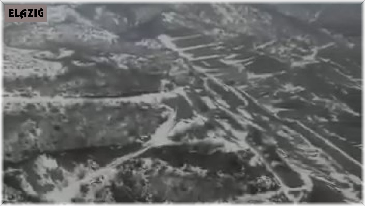 Elazığ'da sürü halinde dağ keçileri görüldü