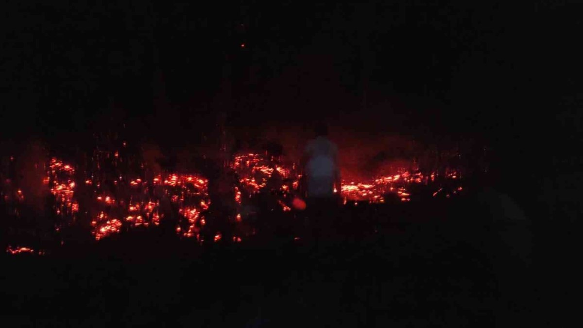 Elazığ'da tarlada çıkan yangını köylüler söndürdü