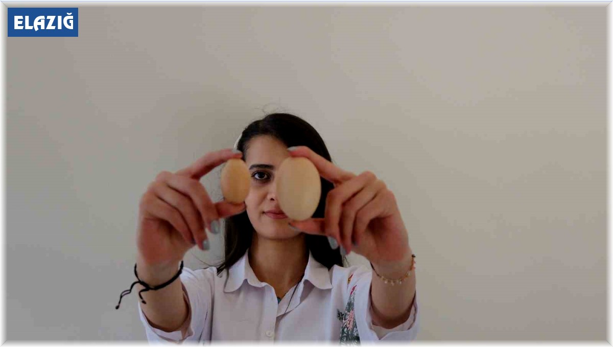 Elazığ'da tavuğun yaptığı mini yumurta şaşırttı