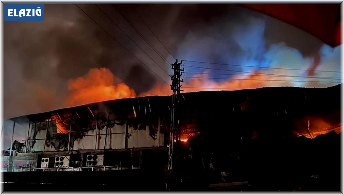 Elazığ'da tavuk fabrikası alev alev yandı