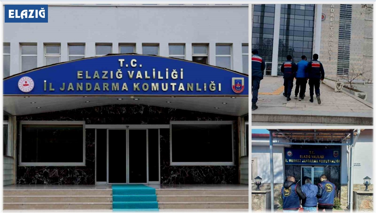 Elazığ'da terör örgütü DEAŞ üyesi 1 kişi yakalandı