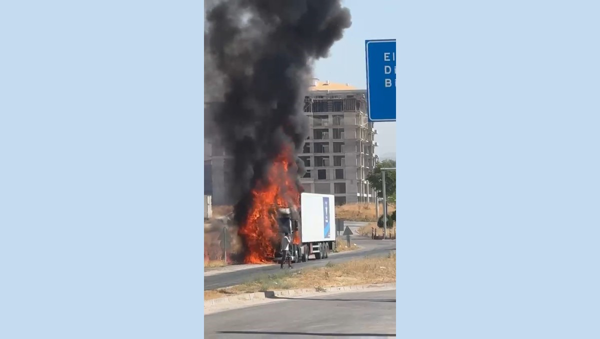 Elazığ'da tır alevlere teslim oldu