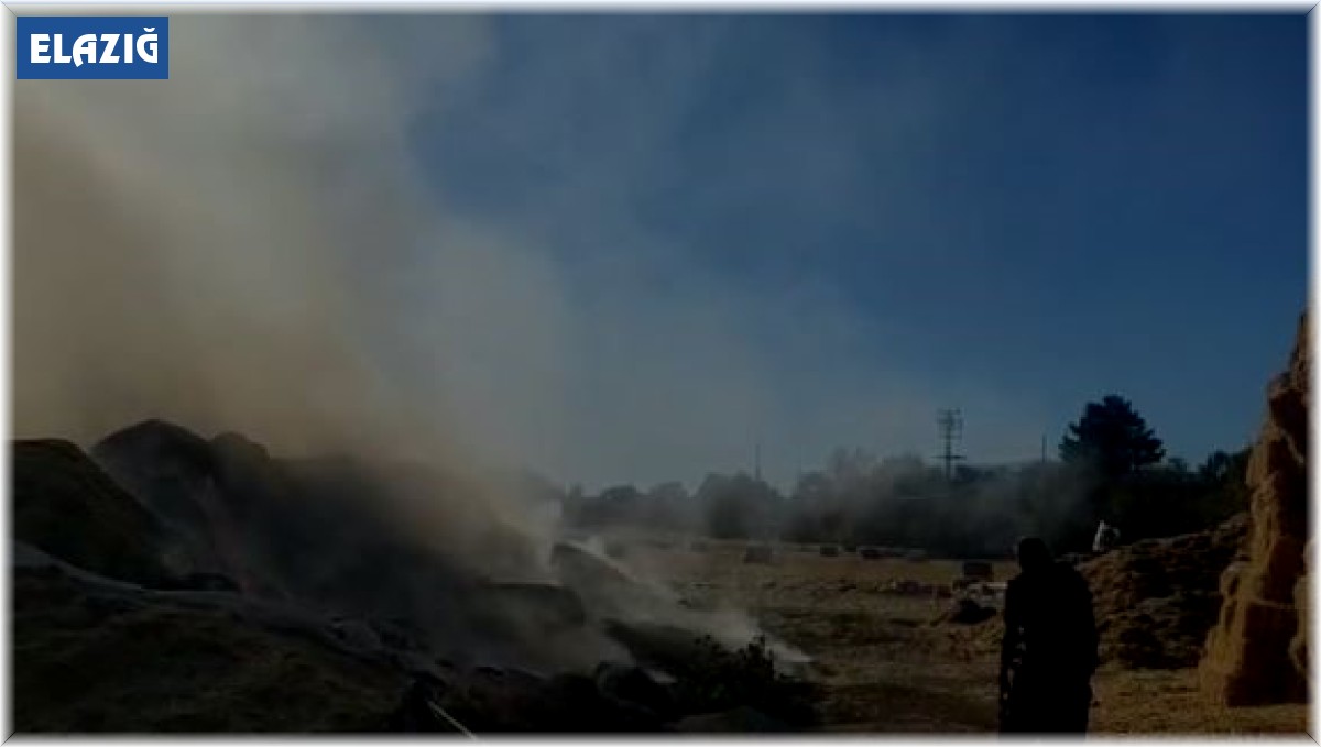Elazığ'da tonlarca saman balyası kül oldu