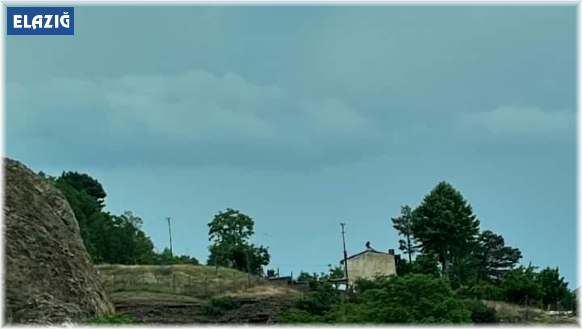 Elazığ'da trafik kazası: 1 yaralı